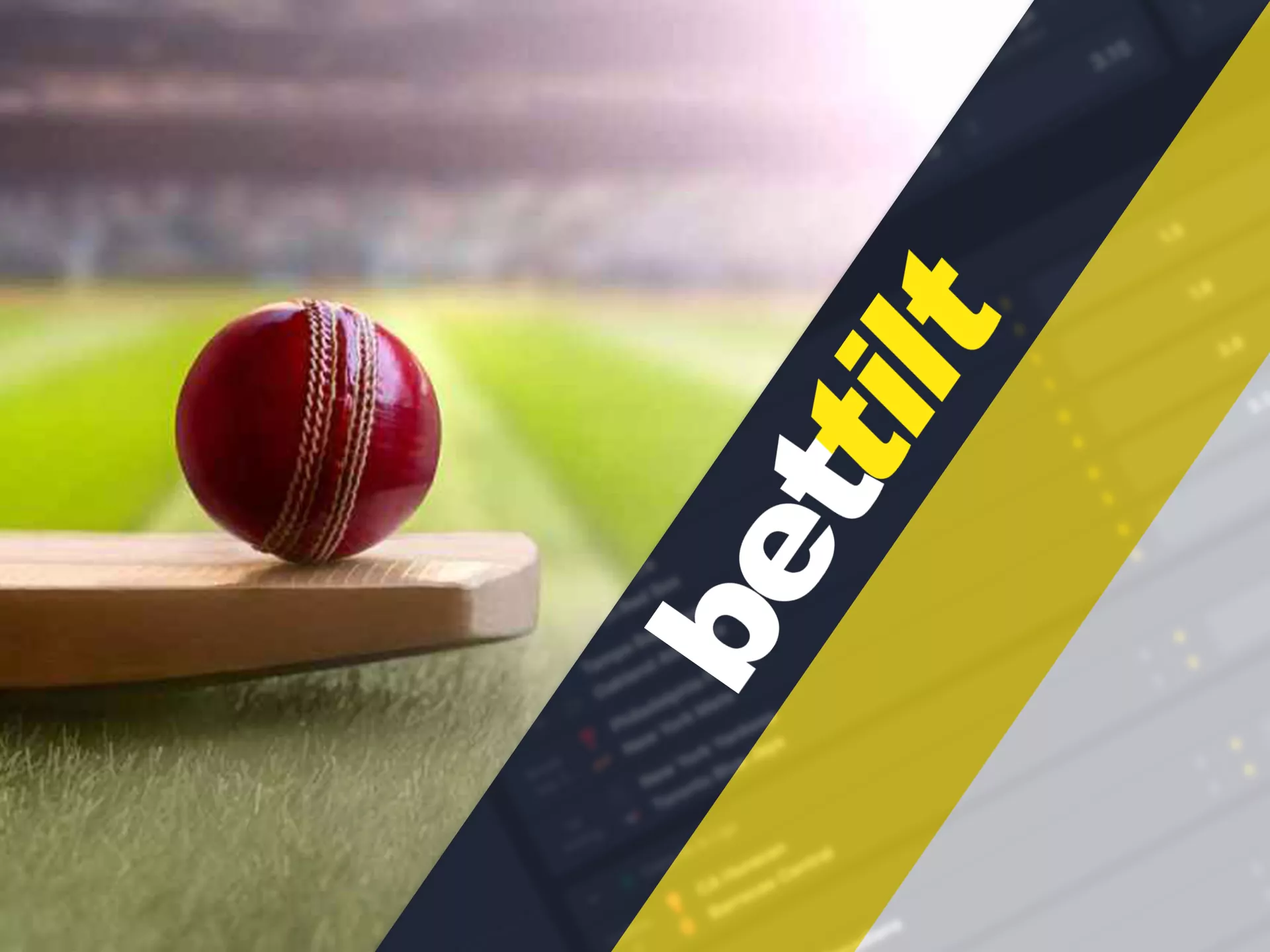 Bet on cricket at Bettilt.