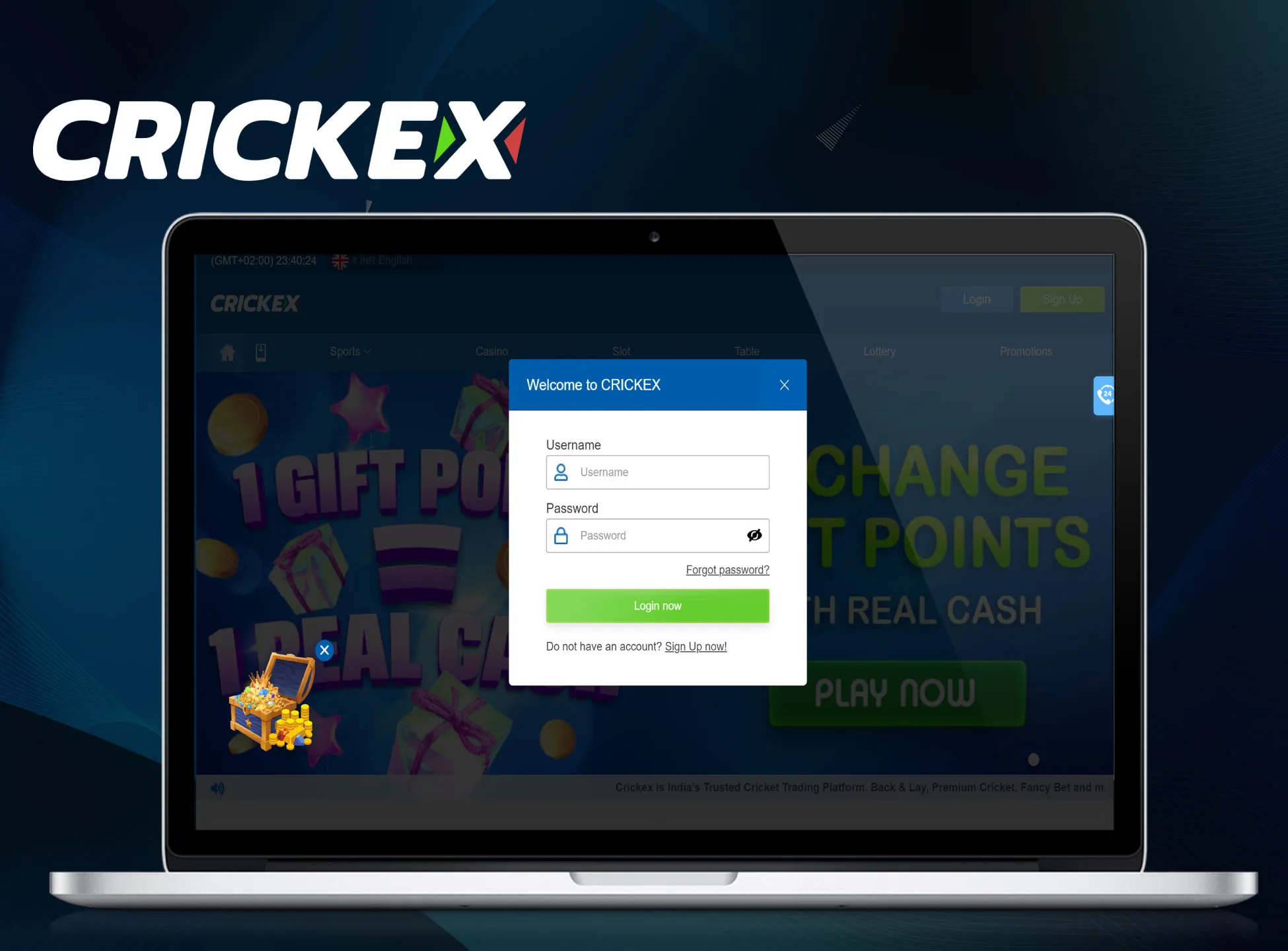 Use your name and a password to log in to Crickex.